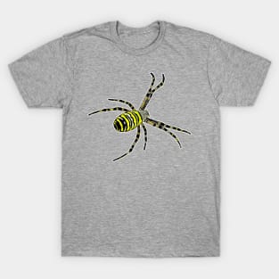 Wasp spider Argiope bruennichi T-Shirt